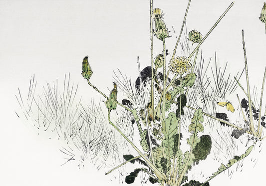 Plakat  Wild Dandelions, Seitei Japoński Vintage