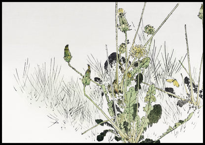 Plakat  Wild Dandelions, Seitei Japoński Vintage