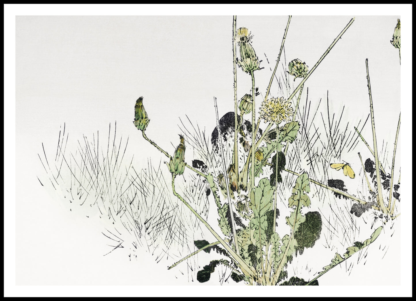 Plakat  Wild Dandelions, Seitei Japoński Vintage