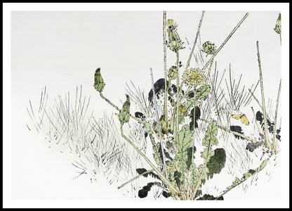Plakat  Wild Dandelions, Seitei Japoński Vintage