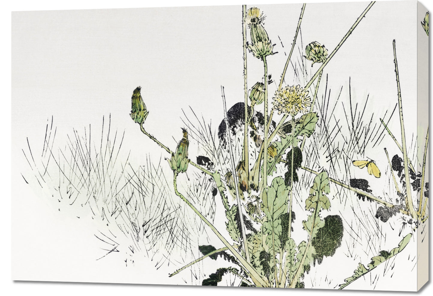 Obraz  Wild Dandelions, Seitei Japoński Vintage