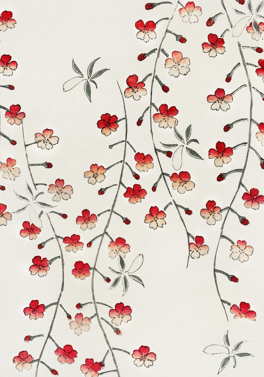 Plakat  Cherry Blossom, Bijutsukaii Japoński Vintage