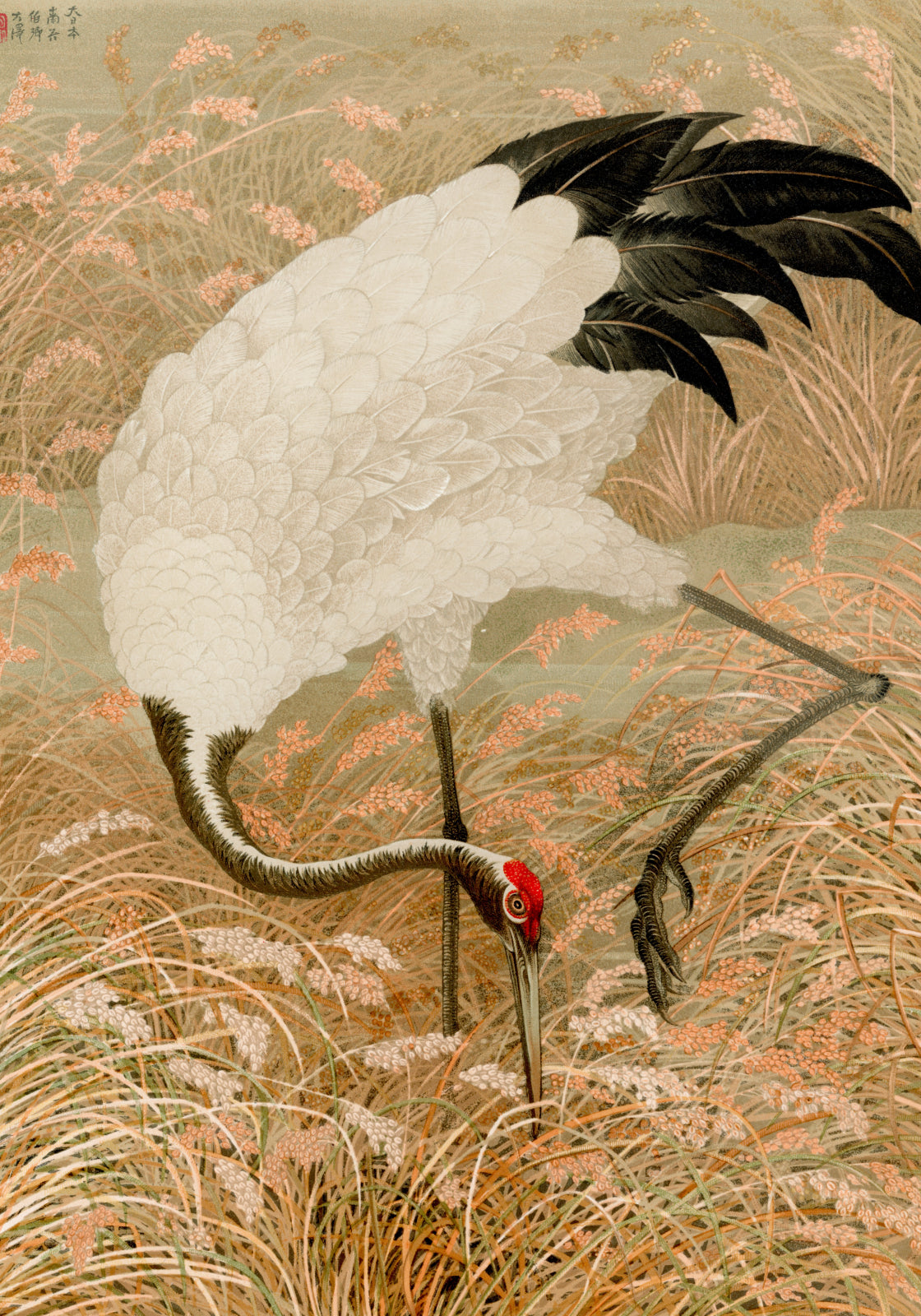 Plakat  Sarus Crane, G.A. Audsley Japoński Vintage