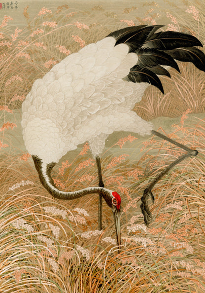 Plakat  Sarus Crane, G.A. Audsley Japoński Vintage