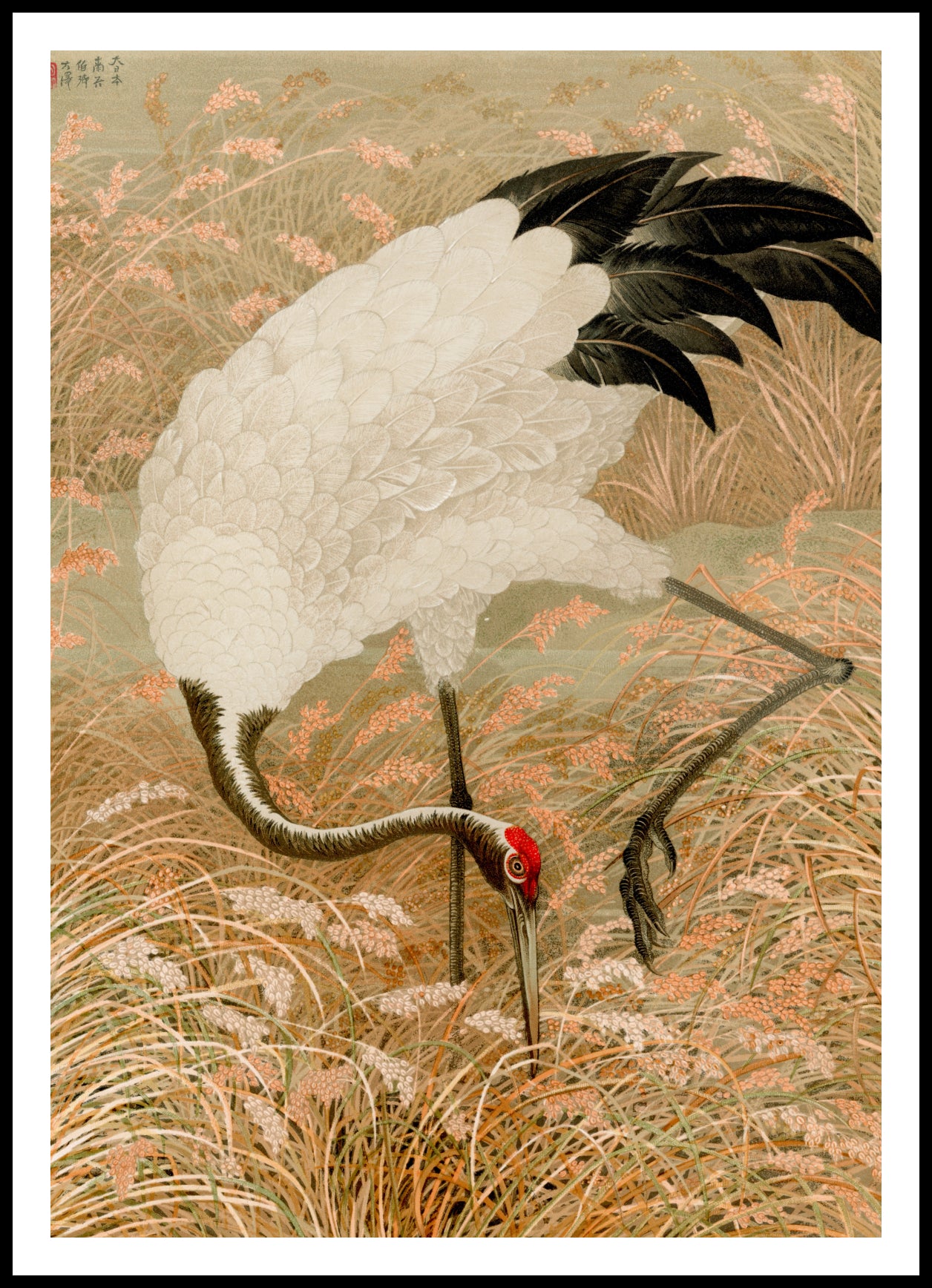 Plakat  Sarus Crane, G.A. Audsley Japoński Vintage
