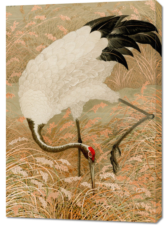 Obraz  Sarus Crane, G.A. Audsley Japoński Vintage