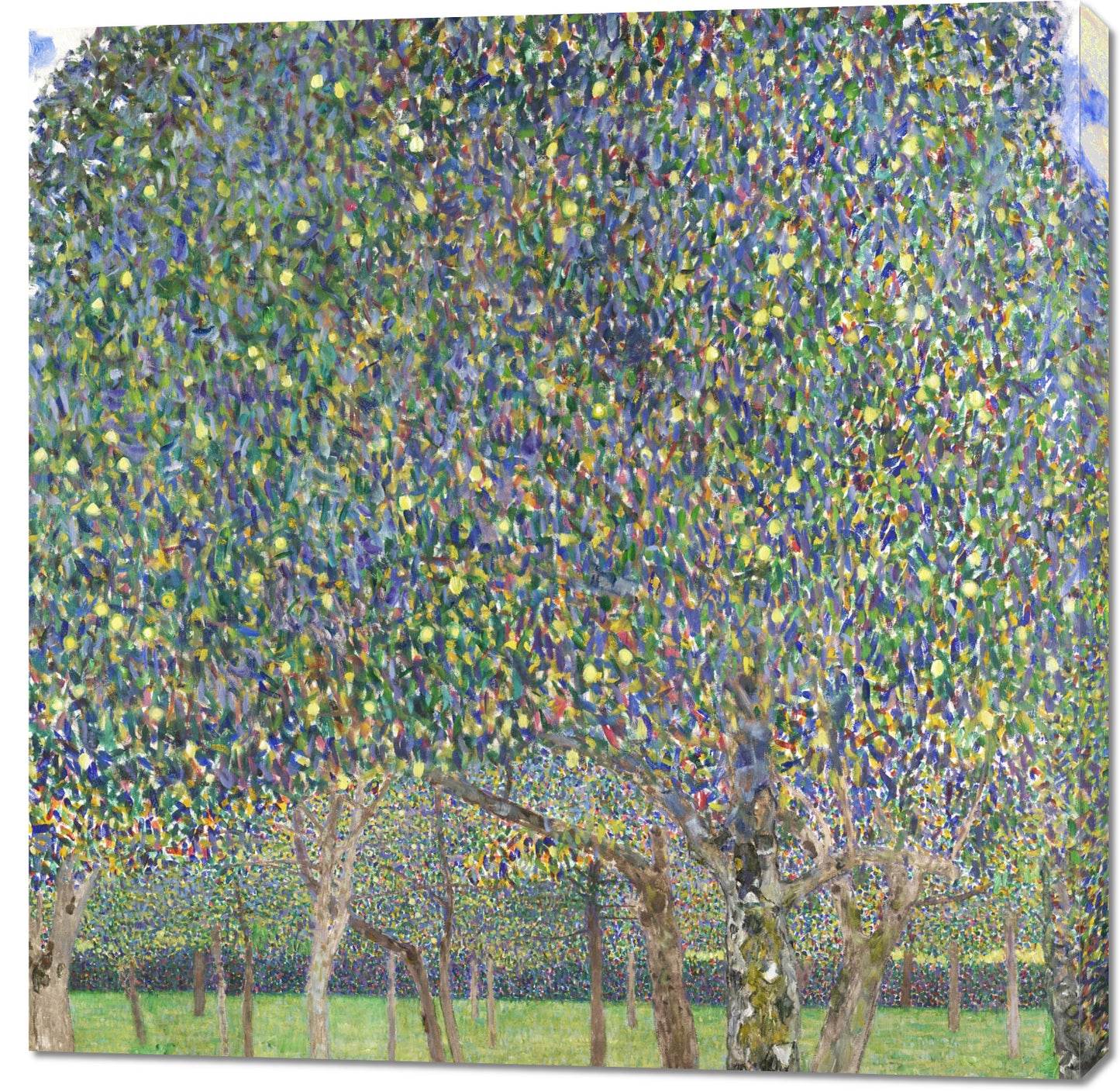 Obraz   Pear Tree, Gustaw Klimt Vintage do Salonu