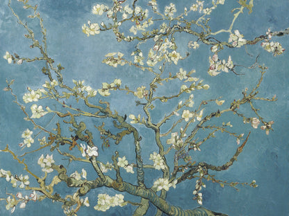 Plakat  Almond Blossom, Van Gogh Vintage do Salonu