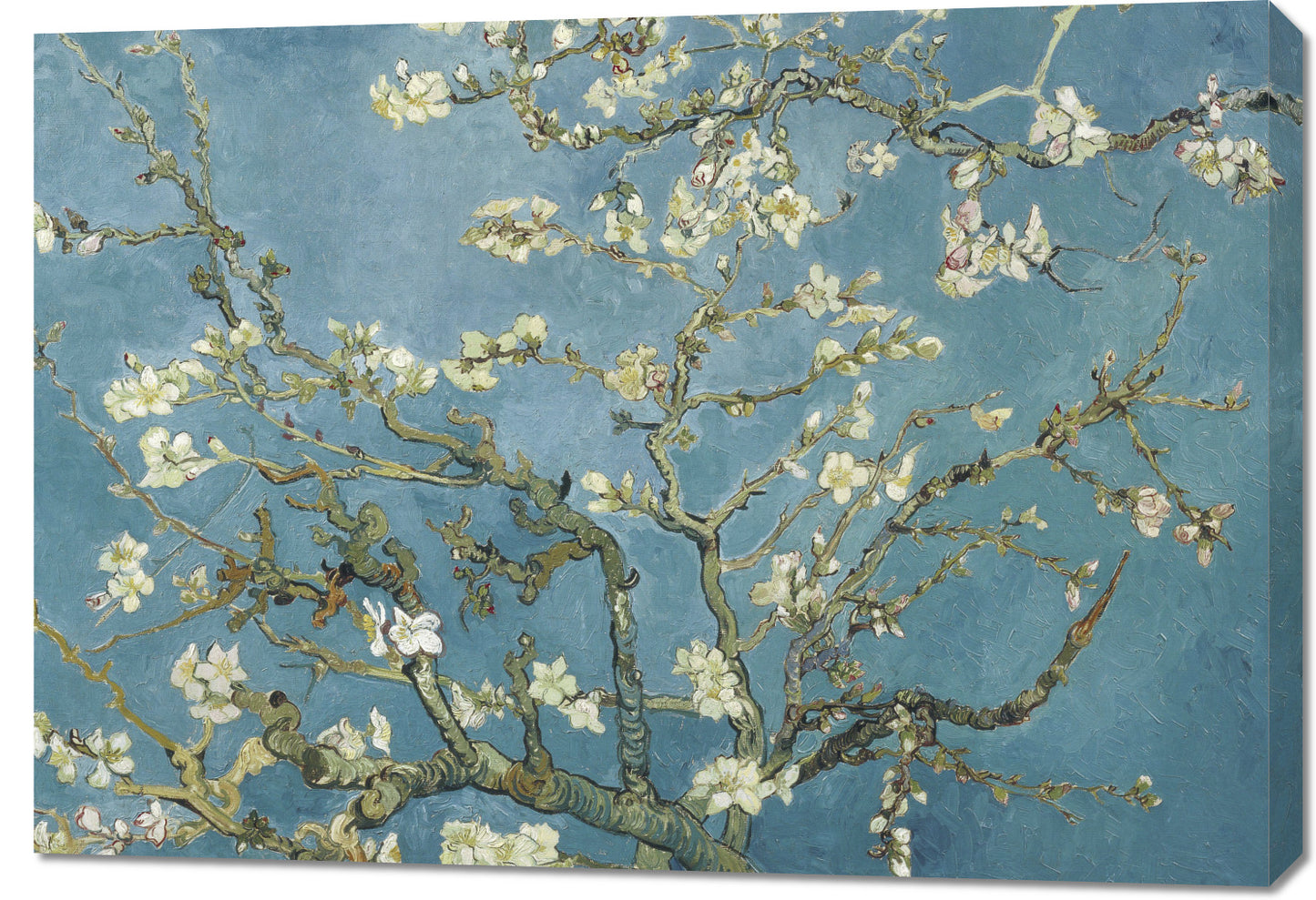 Obraz  Almond Blossom, Van Gogh Vintage do Salonu