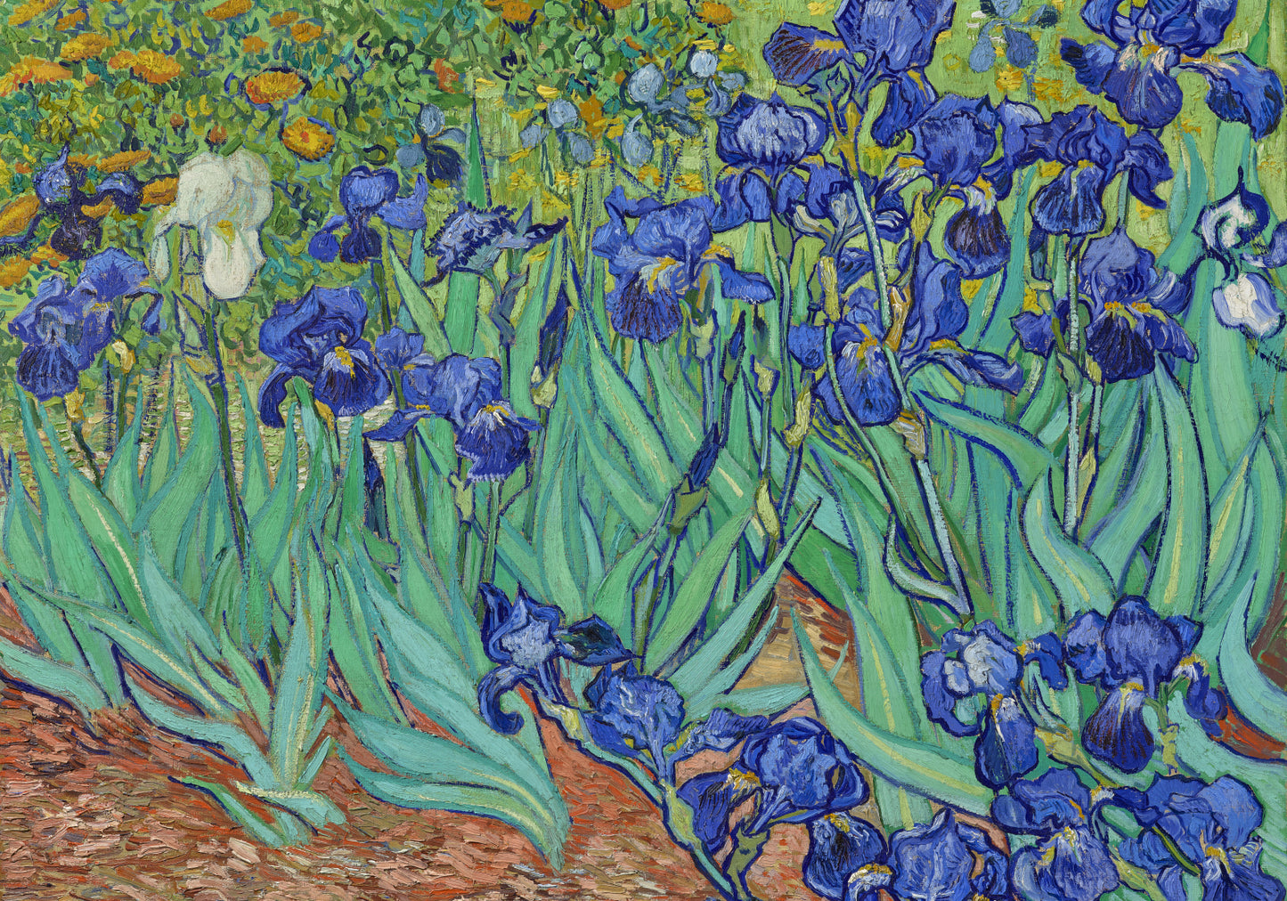 Plakat  Irises, Van Gogh Vintage do Salonu