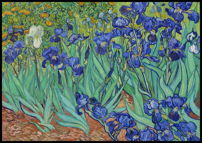 Plakat  Irises, Van Gogh Vintage do Salonu