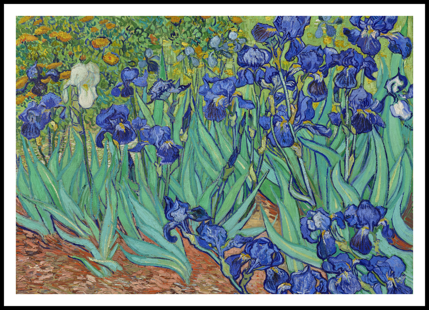 Plakat  Irises, Van Gogh Vintage do Salonu