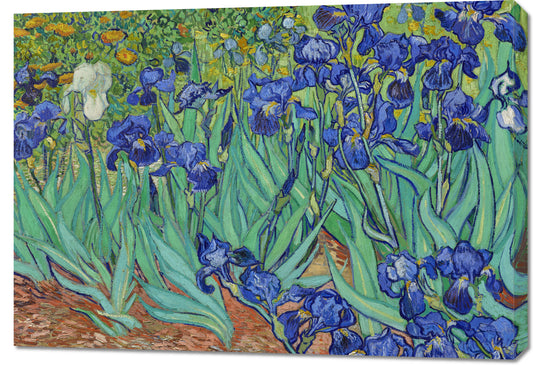 Obraz  Irises, Van Gogh Vintage do Salonu
