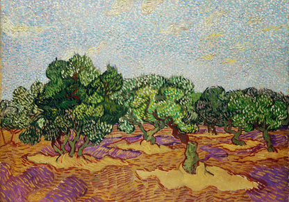 Plakat  Olive Trees 2, Van Gogh Vintage do Salonu