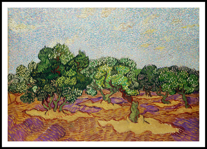 Plakat  Olive Trees 2, Van Gogh Vintage do Salonu