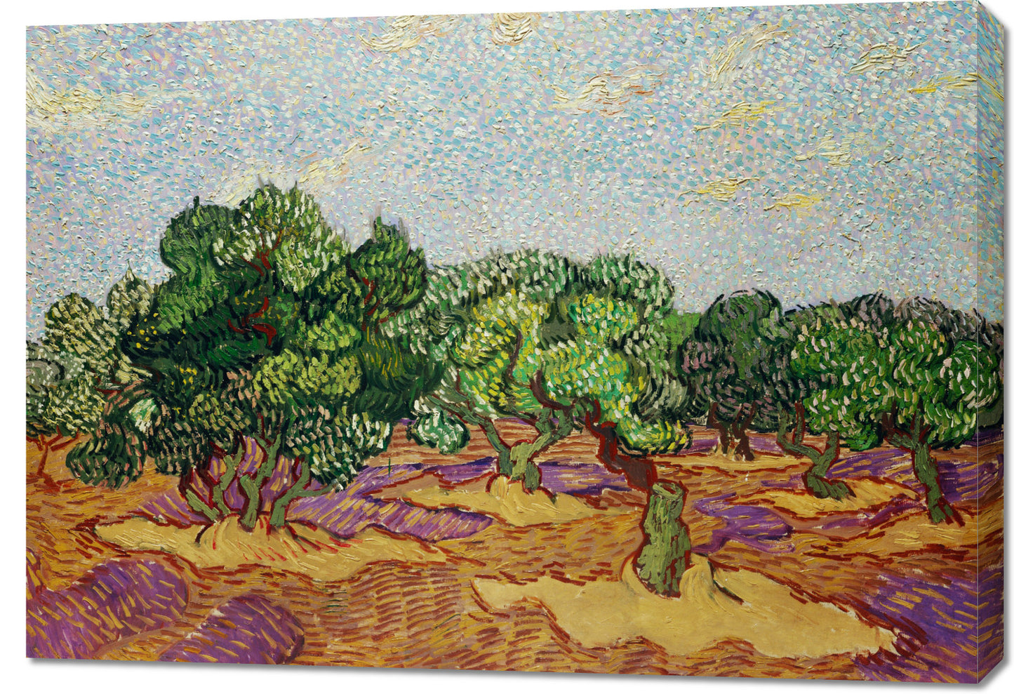 Obraz  Olive Trees 2, Van Gogh Vintage do Salonu
