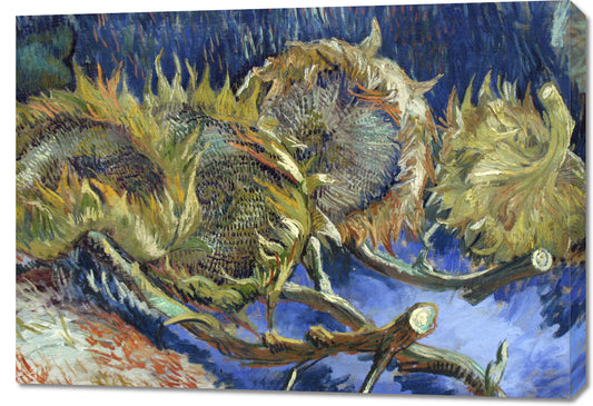 Obraz   Four Withered Sunflowers, Van Gogh Vintage