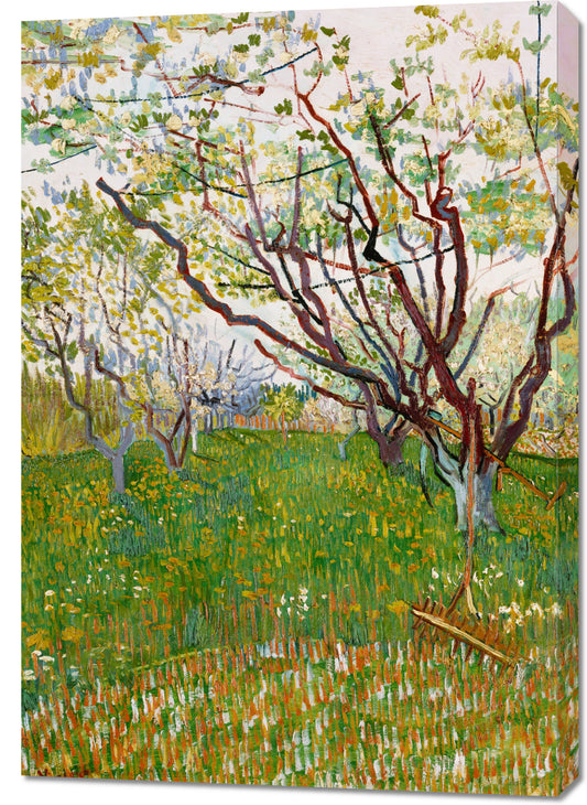 Obraz  The Flowering Orchard, Van Gogh Vintage