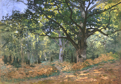 Plakat  The Bodmer Oak, Monet Vintage do Salonu