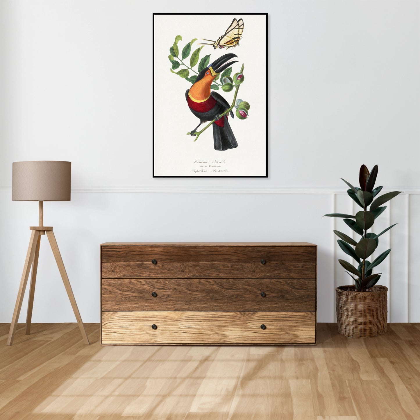 Plakat  Tukan, Paul Gervais Vintage do Salonu