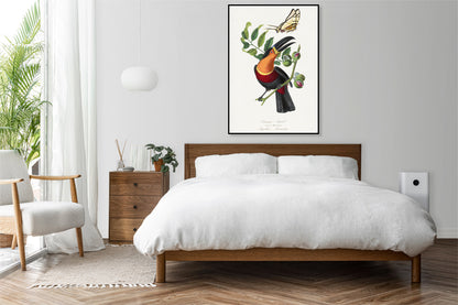 Plakat  Tukan, Paul Gervais Vintage do Salonu