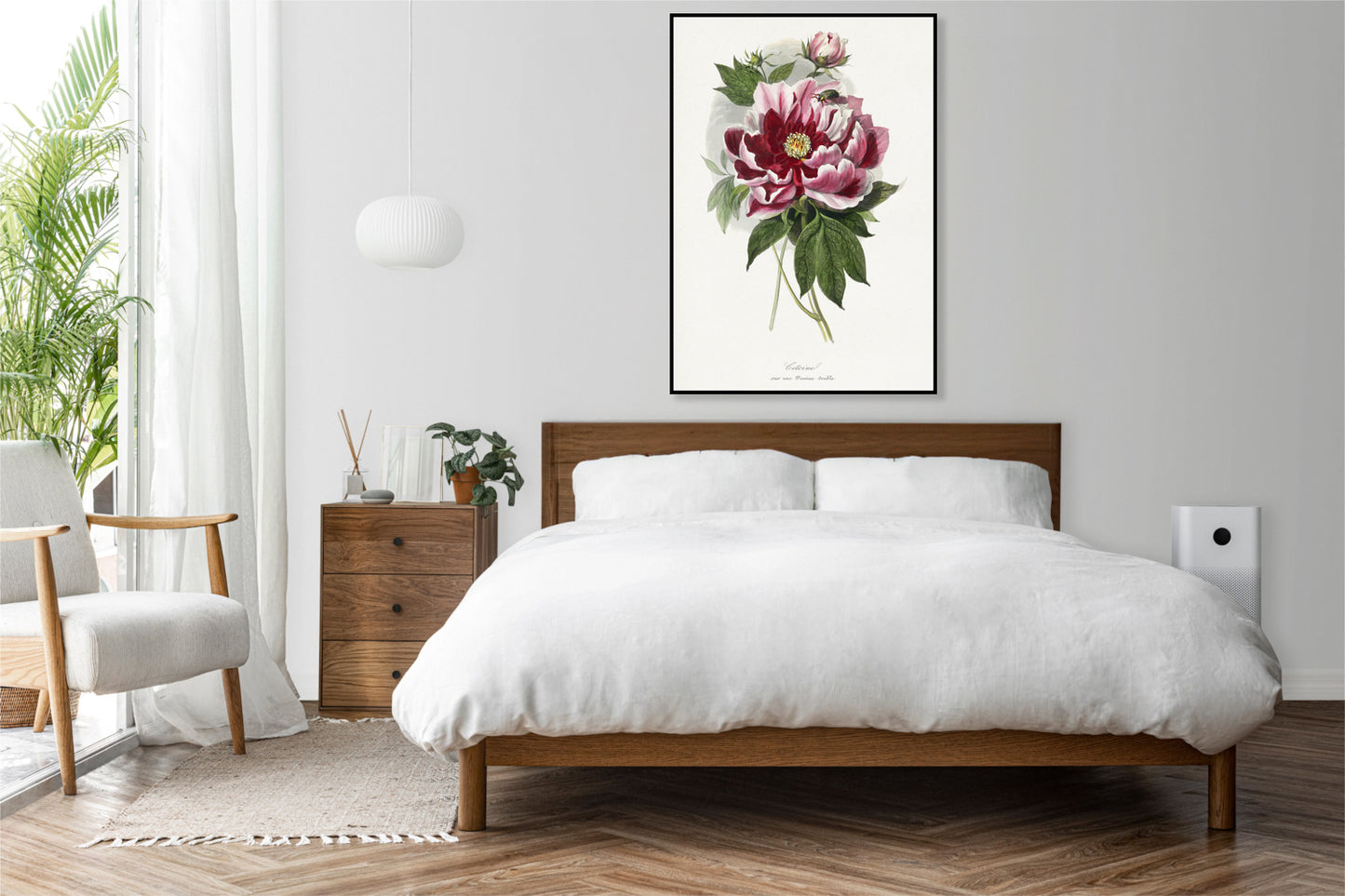 Plakat  Piwonia, Paul Gervais Vintage do Salonu
