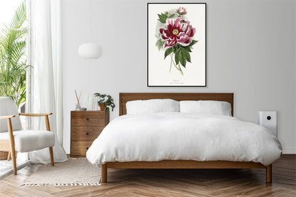Plakat  Piwonia, Paul Gervais Vintage do Salonu