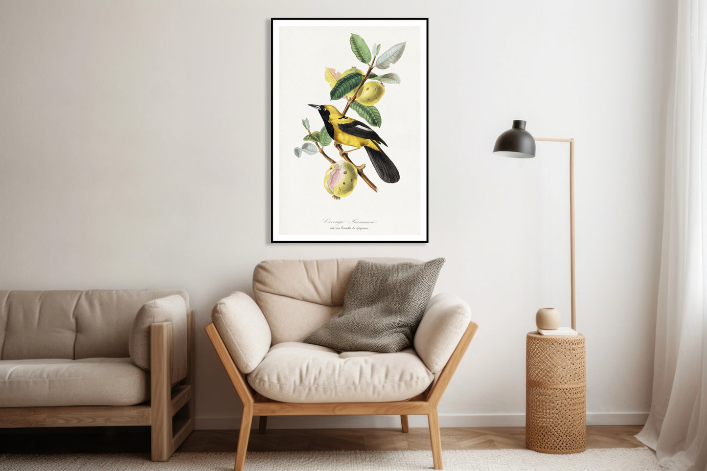 Plakat  Jacamar, Paul Gervais Vintage do Salonu