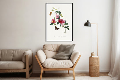 Plakat  Bugenwilla, Paul Gervais Vintage do Salonu