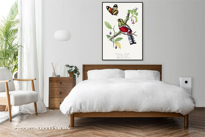 Plakat  Rozella Królewska, Gervais Vintage do Salonu