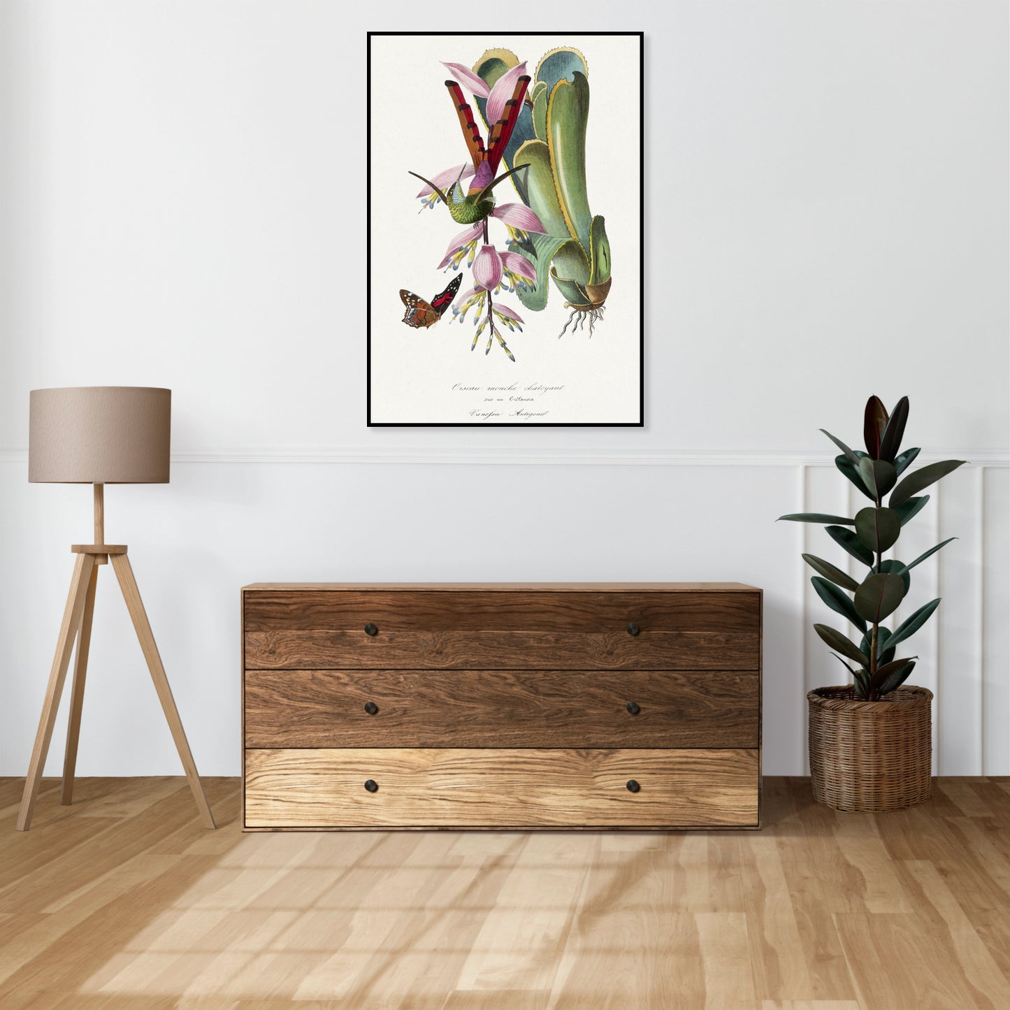 Plakat  Koliber, Paul Gervais Vintage do Salonu