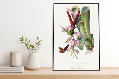 Plakat  Koliber, Paul Gervais Vintage do Salonu