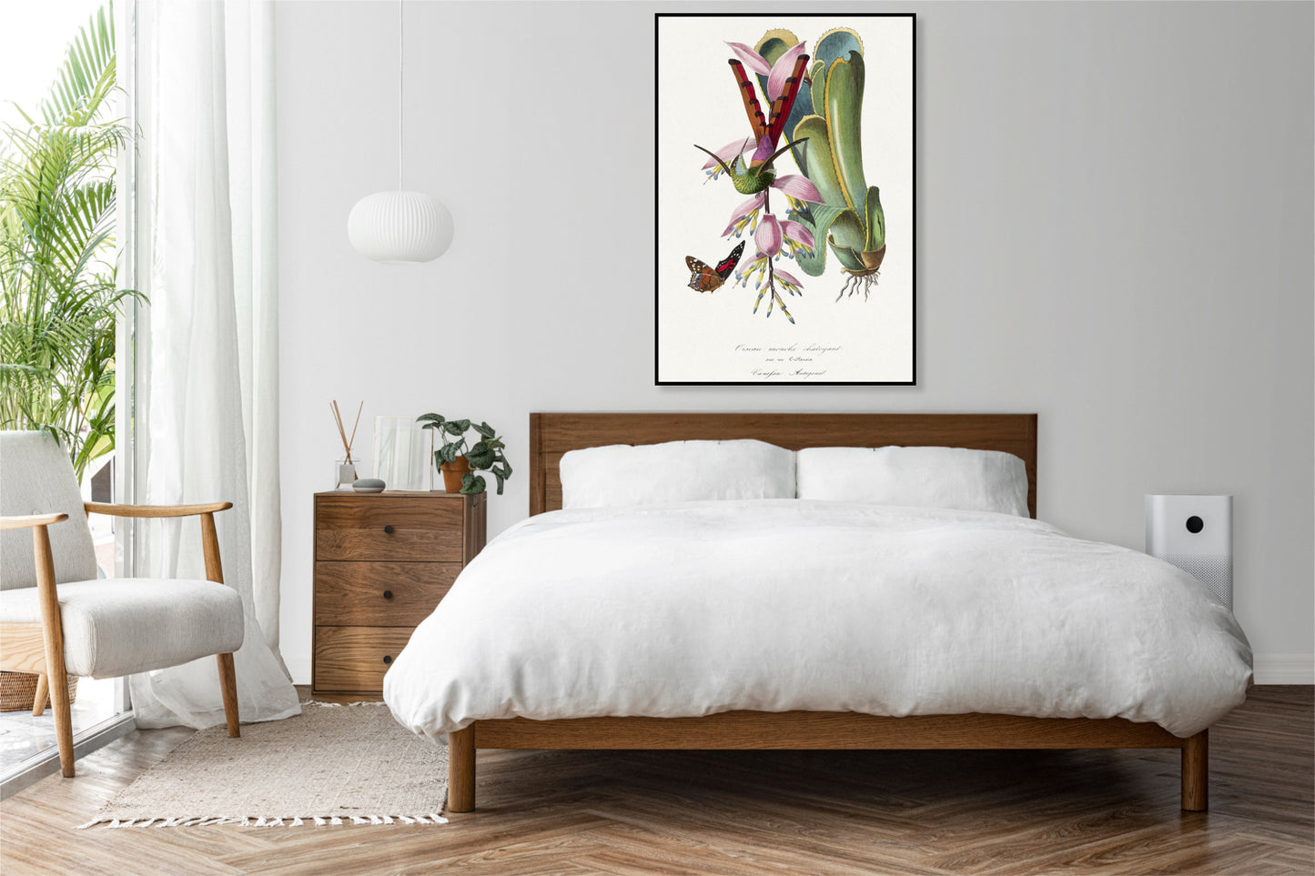 Plakat  Koliber, Paul Gervais Vintage do Salonu