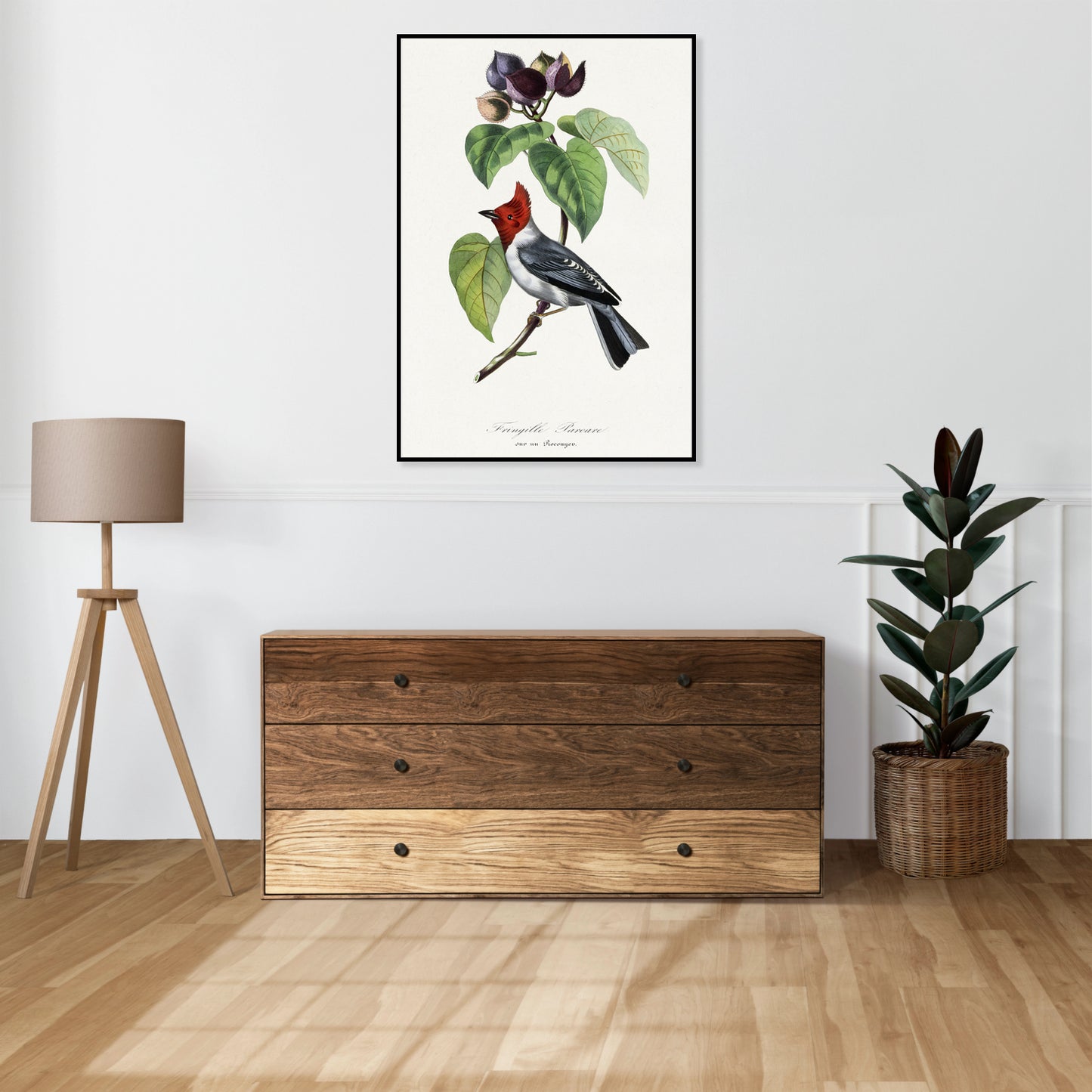 Plakat  Zięba, Paul Gervais Vintage do Salonu