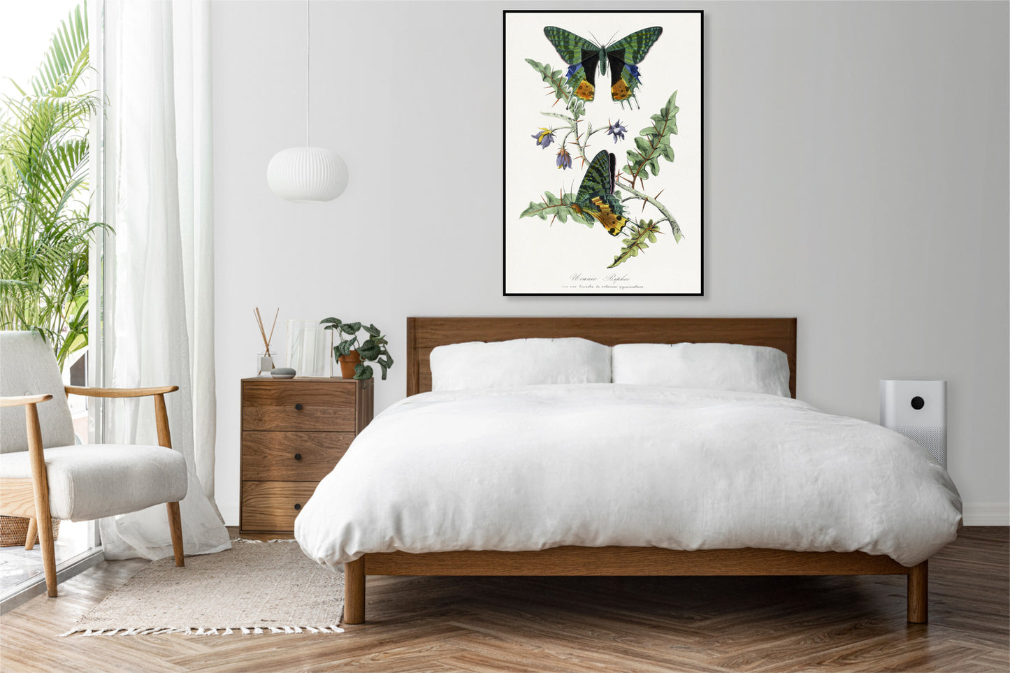 Plakat  Motyle, Paul Gervais Vintage do Salonu