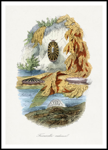 Plakat  Ślimak Wulkaniczny, Gervais Vintage do Salonu