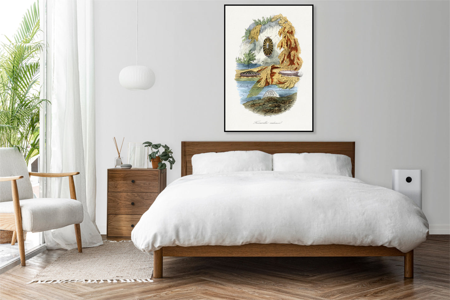 Plakat  Ślimak Wulkaniczny, Gervais Vintage do Salonu
