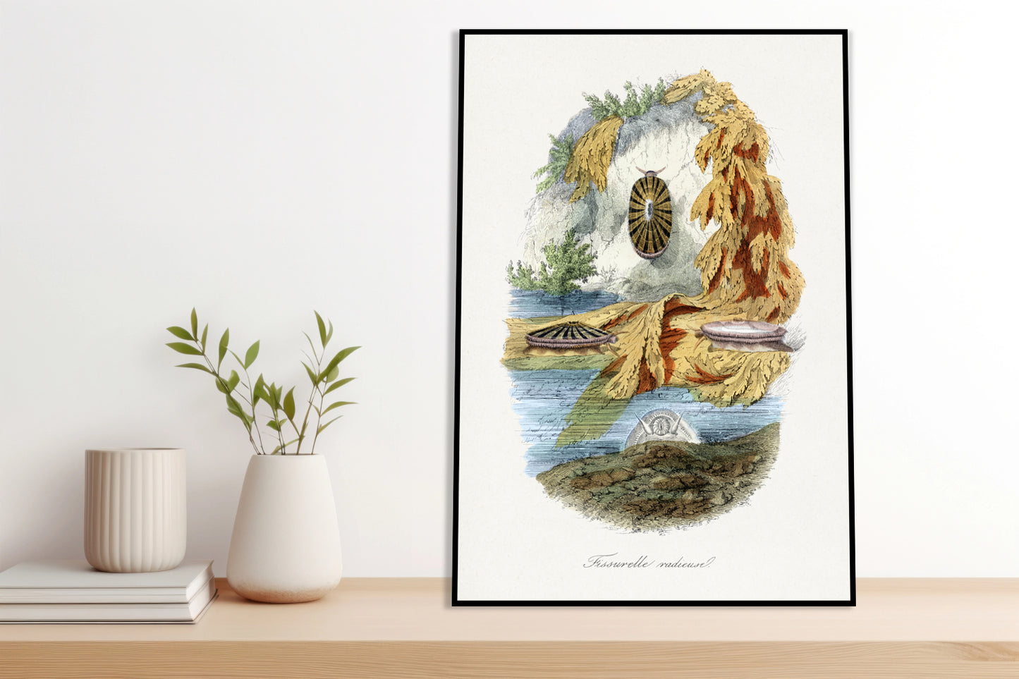 Plakat  Ślimak Wulkaniczny, Gervais Vintage do Salonu