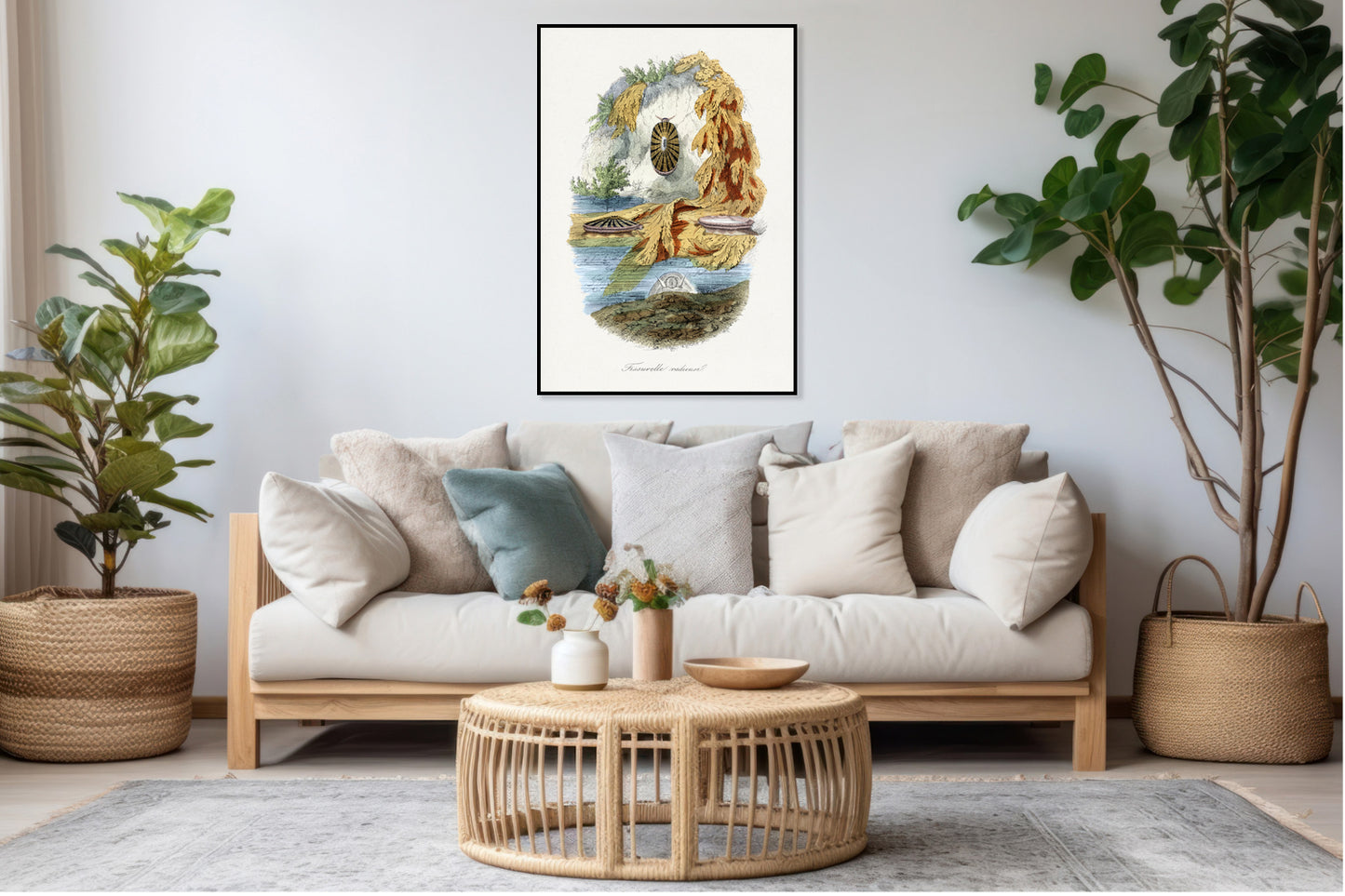 Plakat  Ślimak Wulkaniczny, Gervais Vintage do Salonu