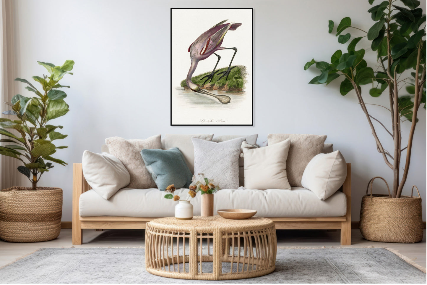 Plakat  Warzęcha Różowa, Gervais Vintage do Salonu