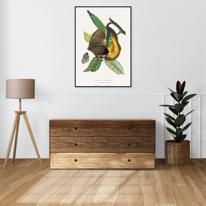 Plakat  Papużka 2, Paul Gervais Vintage do Salonu