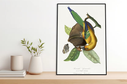 Plakat  Papużka 2, Paul Gervais Vintage do Salonu