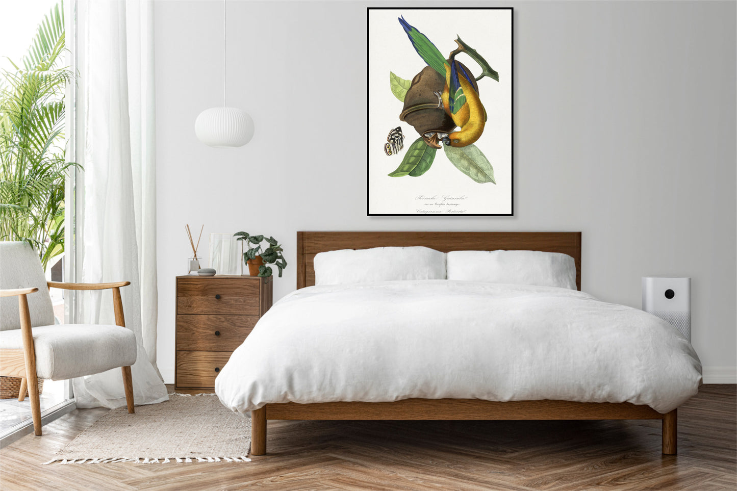 Plakat  Papużka 2, Paul Gervais Vintage do Salonu