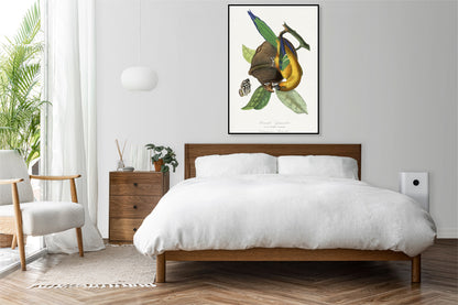 Plakat  Papużka 2, Paul Gervais Vintage do Salonu