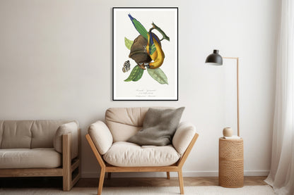 Plakat  Papużka 2, Paul Gervais Vintage do Salonu