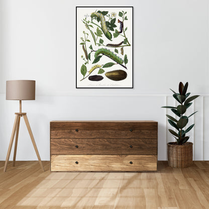 Plakat  Gąsienica 2, Paul Gervais Vintage do Salonu