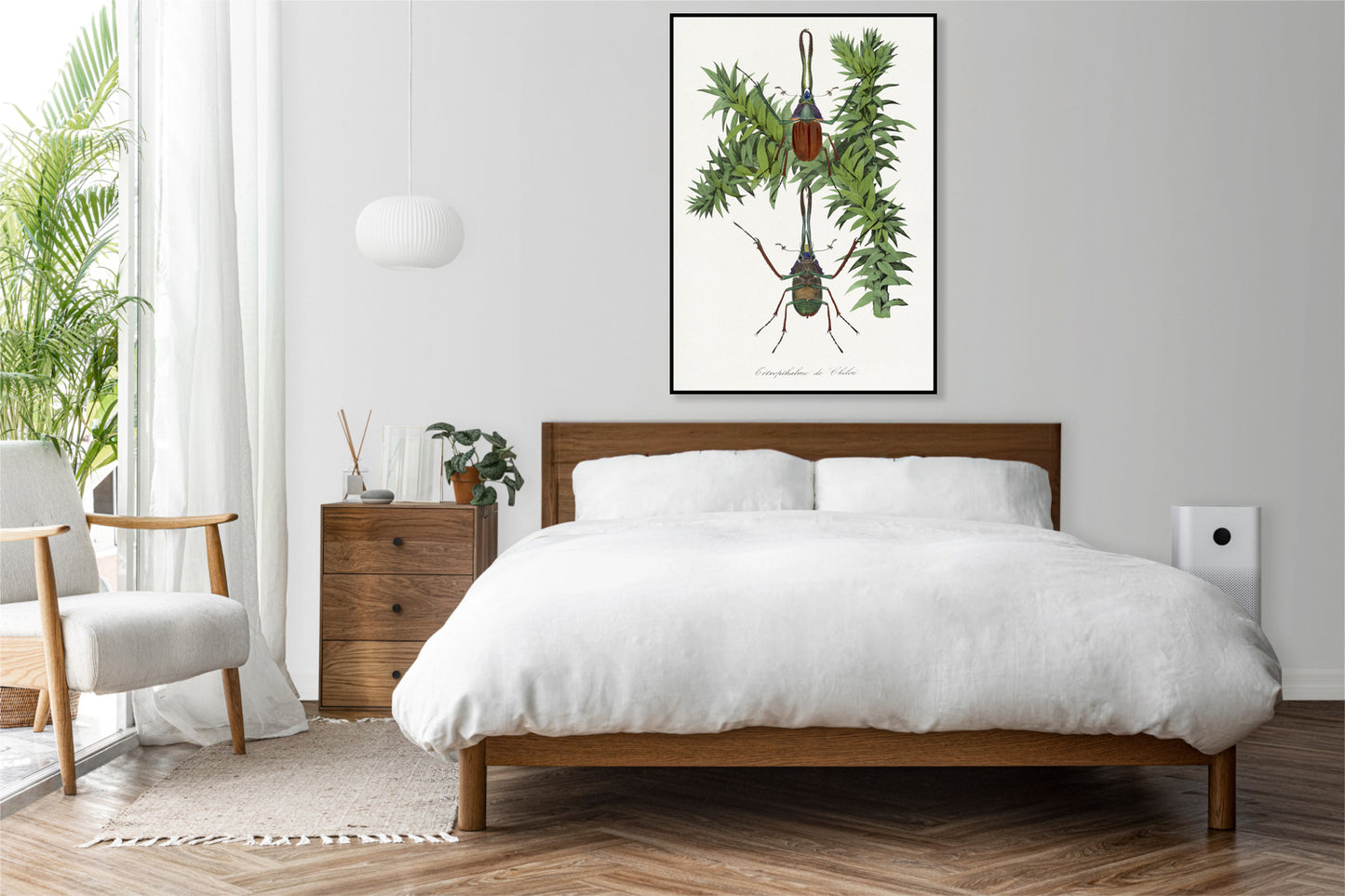 Plakat  Chrząszcz, Paul Gervais Vintage do Salonu