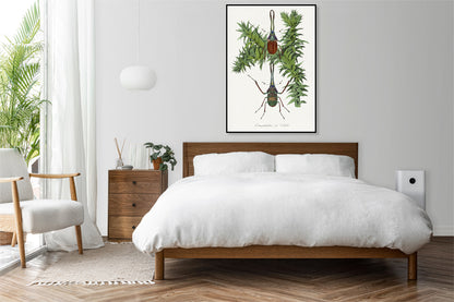 Plakat  Chrząszcz, Paul Gervais Vintage do Salonu