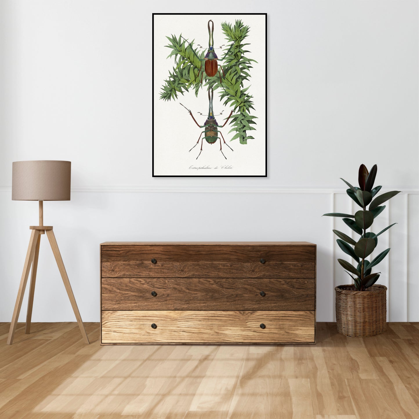 Plakat  Chrząszcz, Paul Gervais Vintage do Salonu