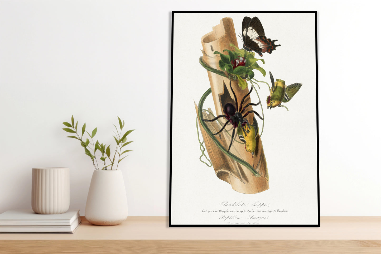 Plakat  Lamparcik Żółtorzytny, Gervais Vintage do Salonu